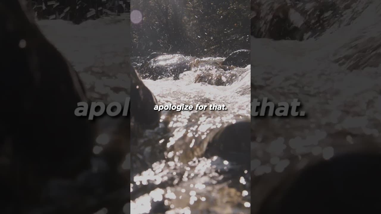 YouTube video player
