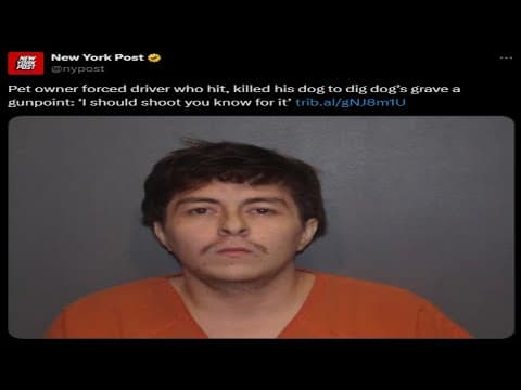Nobody Actually Read the Story thumbnail