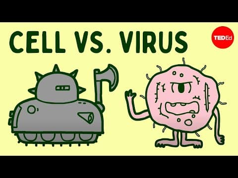 Cell vs. virus: A battle for health - Shannon Stiles thumbnail