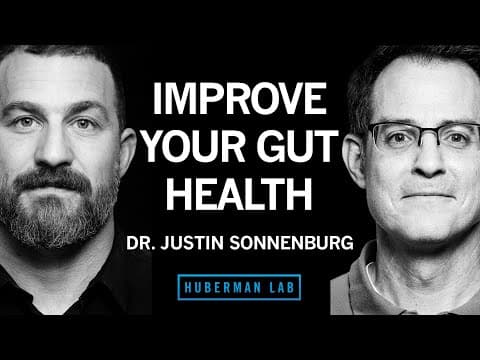 How to Build and Maintain a Healthy Gut Microbiome thumbnail