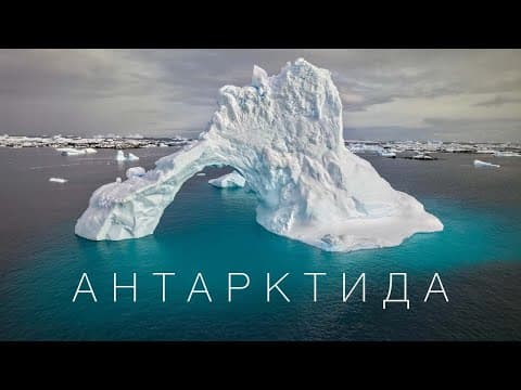 Антарктида. Великий випуск [Прем'єра 2025] thumbnail