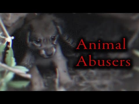 Are YouTube Animal Rescue Channels Staging Fake Rescues? thumbnail