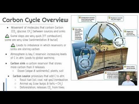 APES Video Notes 1.4 - Carbon Cycle thumbnail