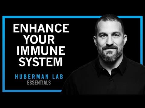 Using Your Nervous System to Enhance Your Immune System | Huberman Lab Essentials thumbnail