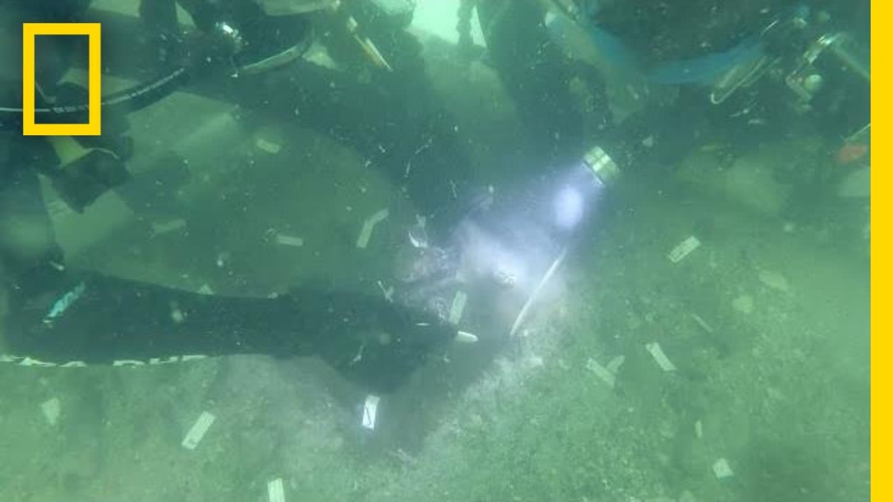 YouTube video player