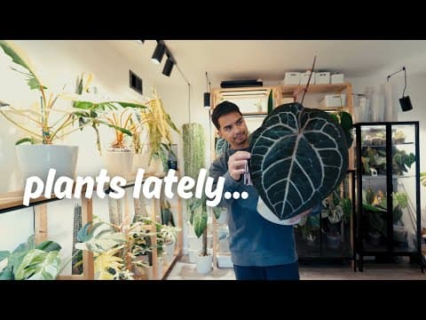 Chill Day: Plant Chores & Updates 🌿 thumbnail
