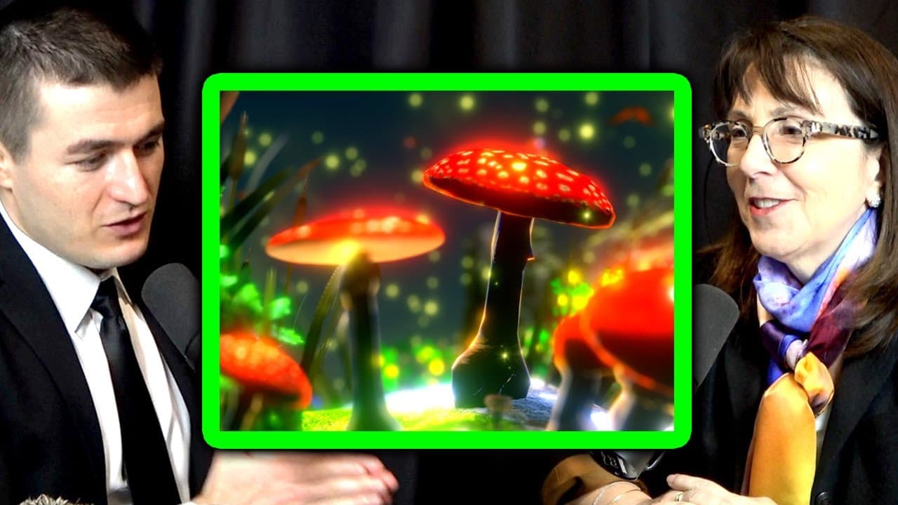 YouTube video player