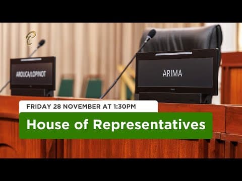 14th Sitting of the House of Representatives - 1st Session - 13th Parliament - November 28, 2025 thumbnail