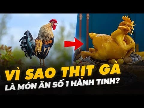 VÌ SAO THỊT GÀ LÀ MÓN ĂN SỐ 1 HÀNH TINH? thumbnail