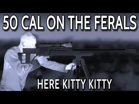 HUNTING WITH A 50 CAL BMG || SHOOTING PIGS & FERAL CATS thumbnail