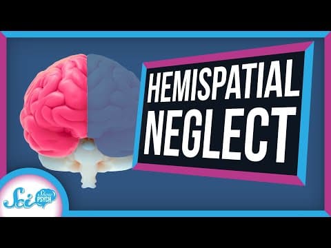 Hemispatial Neglect: When Half Your World Disappears thumbnail
