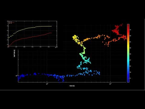 Coronavirus, Bitcoin, S&P 500, and Gold thumbnail