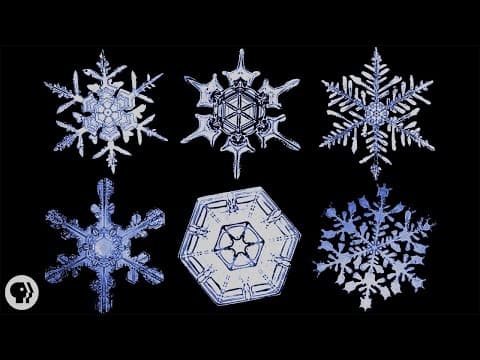 AMMI 2022 Course "Geometric Deep Learning" - Lecture 3 (Geometric Priors I) - Taco Cohen thumbnail