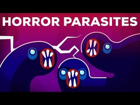 What Are Neglected Tropical Diseases and Their Impact? thumbnail