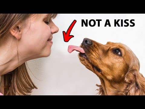 The Real Reason Dogs Lick You Is Disgusting thumbnail
