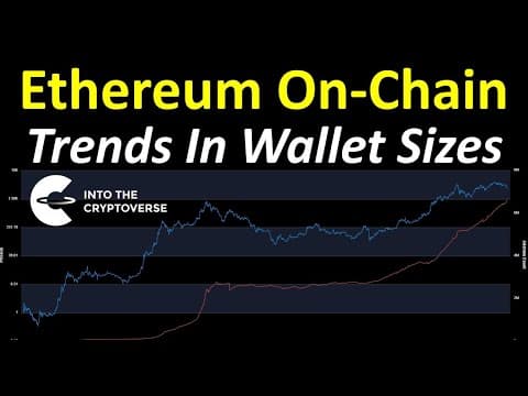 Ethereum On-Chain: Trends In Wallet Sizes thumbnail