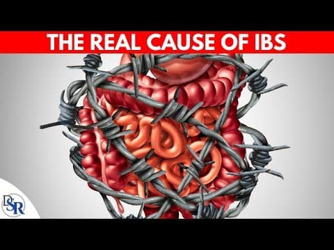 What Is IBS & Everything You Need To Know About It (part 1) thumbnail