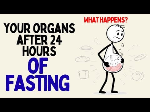 What Happens to Your Organs If You Fast for 24 Hours? (Science Explained) thumbnail
