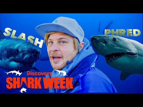 Diver Comes Face to Face with TWO 20-Foot Sharks! | Shark Week thumbnail