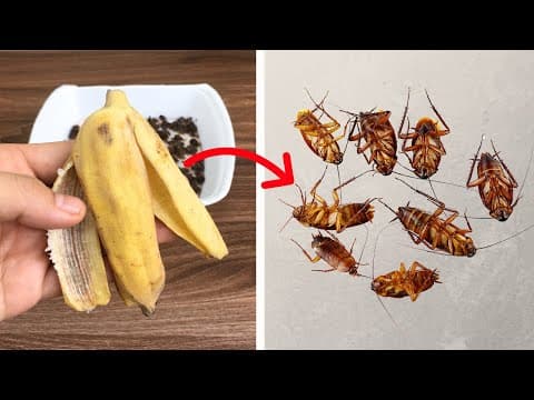 Kill Roaches Overnight Without Using Pesticides! thumbnail
