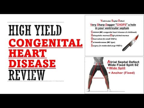 Congenital Heart Disease Review | Mnemonics And Proven Ways To Memorize for your exams! thumbnail