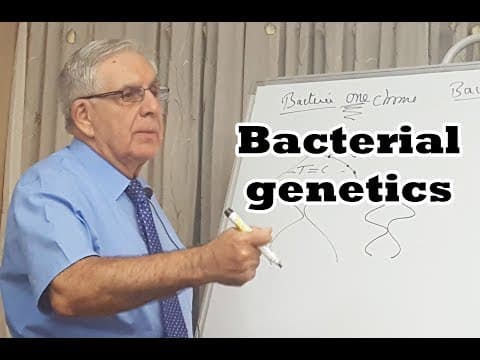 Bacterial genetics - الوراثة البكتيرية thumbnail