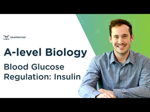 Blood Glucose Regulation: Insulin | A-level Biology | OCR, AQA, Edexcel thumbnail