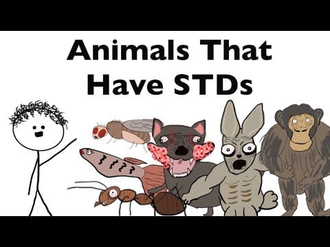 Top 10 Animals That Have STDs thumbnail