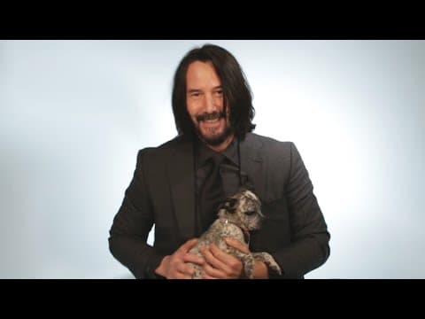 Keanu Reeves Plays With Puppies While Answering Fan Questions thumbnail