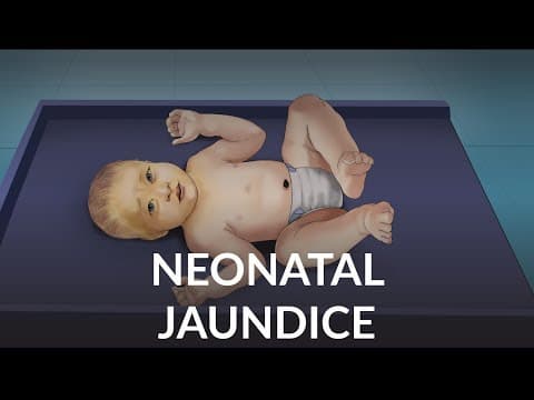 Neonatal Jaundice by L. Veit | OPENPediatrics thumbnail