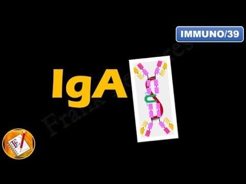 IgA: Structure, Properties and Functions (FL-Immuno/39) thumbnail