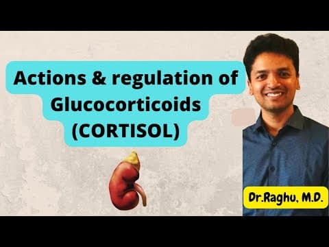 Cortisol - Actions, circadian rhythm & regulation | Adrenal Cortex | Endocrinology thumbnail