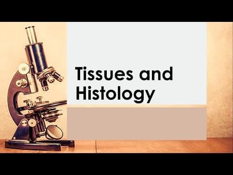 Basic Anatomy & Physiology 04 | TISSUES & HISTOLOGY   Reference   Seeley's thumbnail