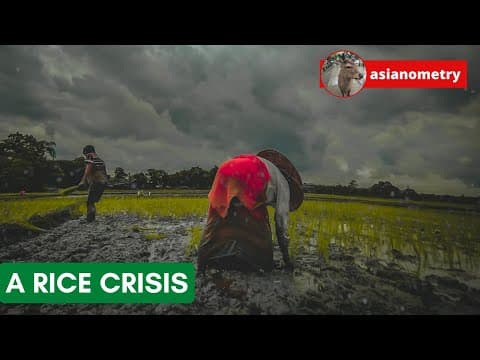 The Great Asian Rice Crisis of 2008 thumbnail