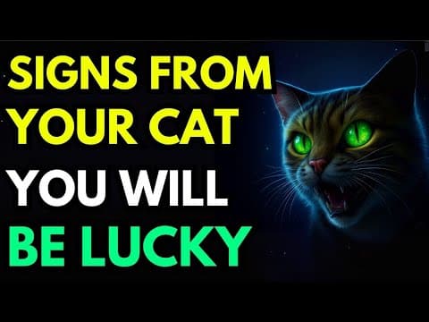9 Cat Signs That Say You’re About To Get Rich – Watch Closely! thumbnail