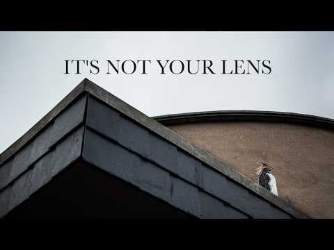 The Focus Mistake That's Holding Back Your Photos thumbnail