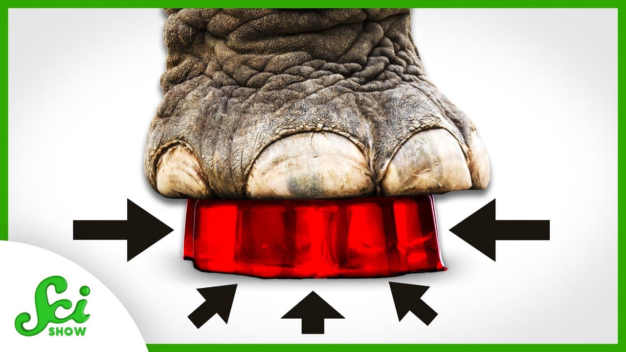 YouTube video player