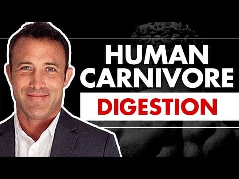 What Are the Key Features of Human Digestion? thumbnail