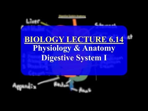IMAT Biology Lesson 6.14 | Anatomy and Physiology | Digestive System I thumbnail