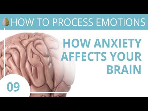 How Does Anxiety Affect the Brain and Your Reactions? thumbnail