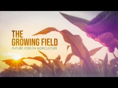 The Growing Field: Future Jobs in Agriculture thumbnail