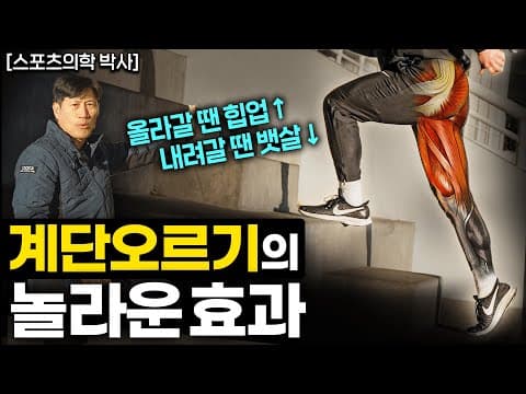무릎 부담을 줄이며 계단을 올라 체지방과 하체 근력을 키우는 방법은? thumbnail