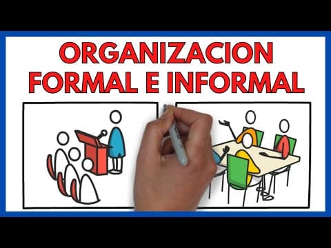 ORGANIZACION FORMAL e INFORMAL de una EMPRESA ✅ | EconomÃa de la Empresa 145# thumbnail