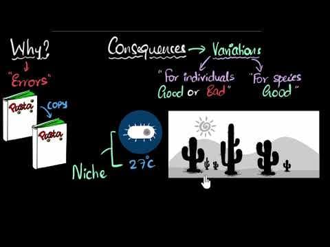 Variation & its importance | How do organisms reproduce | Biology | Khan Academy thumbnail