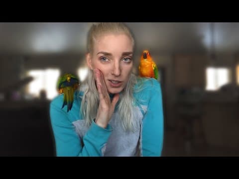 CONURE CARE | All About Conure Parrots as Pets!!! thumbnail