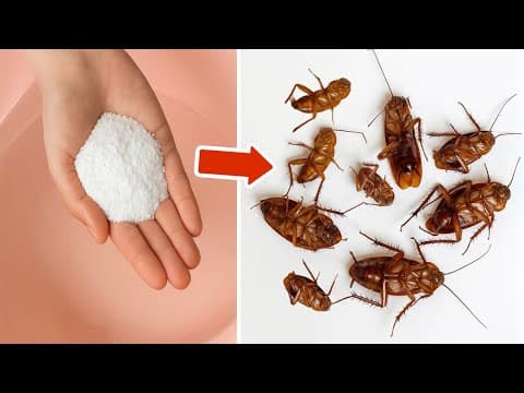 Kill Roaches Overnight Without Using Pesticides! thumbnail