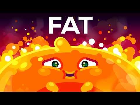 How Does Excess Fat Affect Your Health? thumbnail