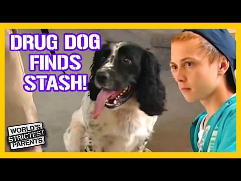 Drug Dog Searches Troubled Teens' Luggage for Marijuana 🌿 | World's Strictest Parents thumbnail