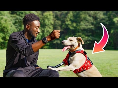 How 3D Printing Transforms Pet Prosthetics thumbnail