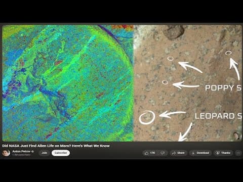 Is This Actual Proof of Life on Mars thumbnail